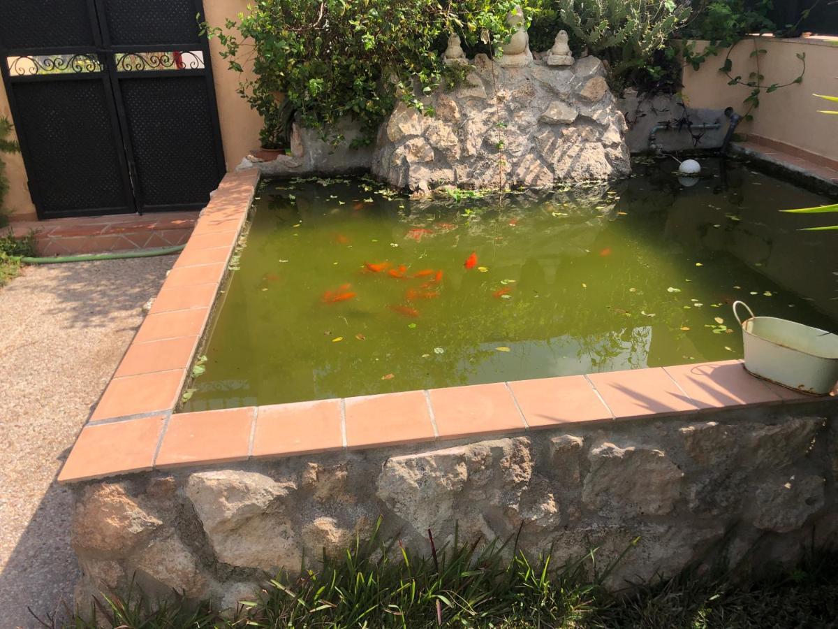 Family House With Pool Near Playa De Palma Hébergement de vacances